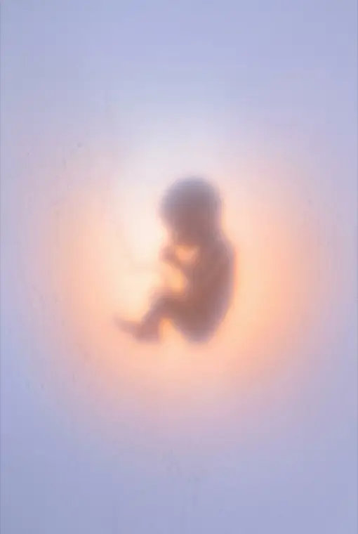 A glowing infant cradled in golden light
